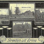 Historie van Erica